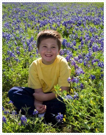 Beck Hayden-Texas Bluebonnets